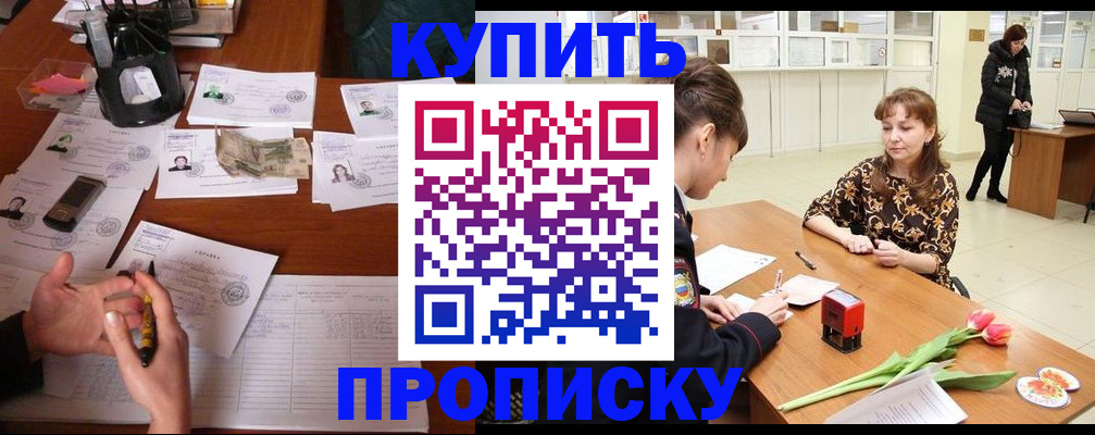 купить прописку в Петропавловске-Камчатском